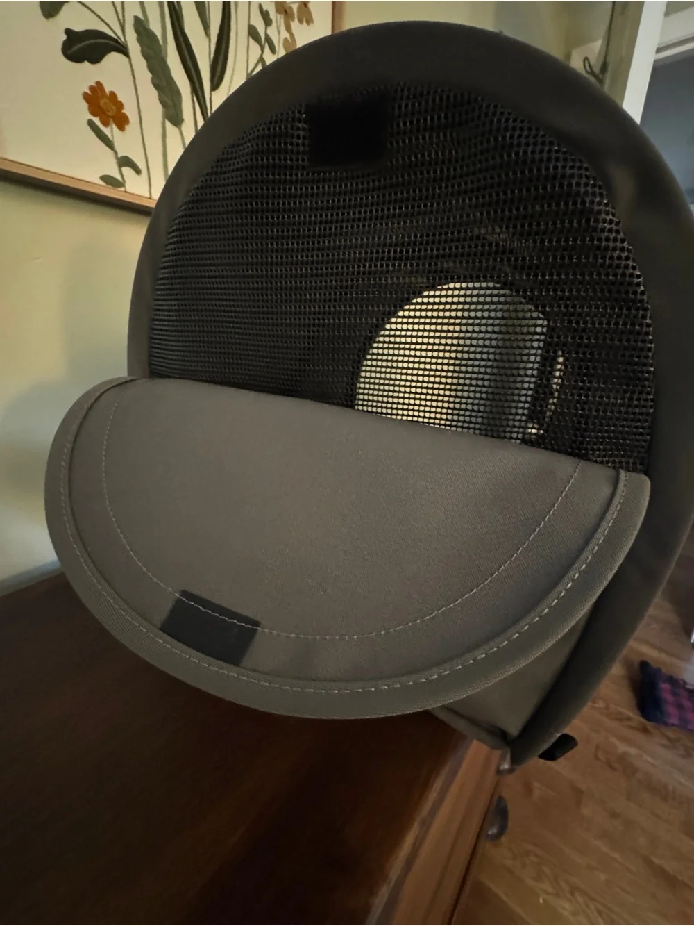 Sturdibag XL Dog Carrier - Never Used